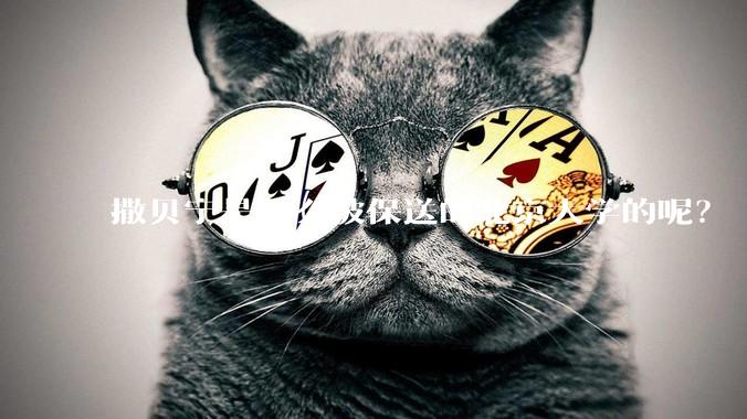 撒贝宁是怎么被保送的北京大学的呢？
