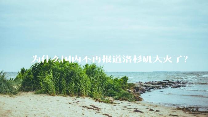 为什么国内不再报道洛杉矶大火了？